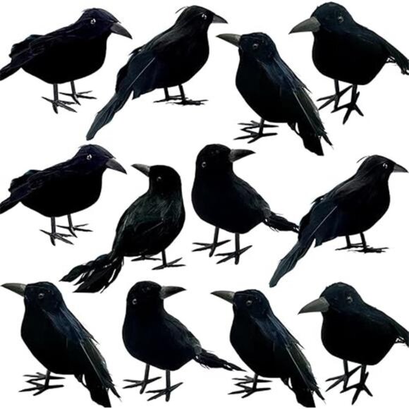 12 Pieces Feathered Black Crows - Realistic Handmade Ravens for Halloween Decor - Picture 8 of 8